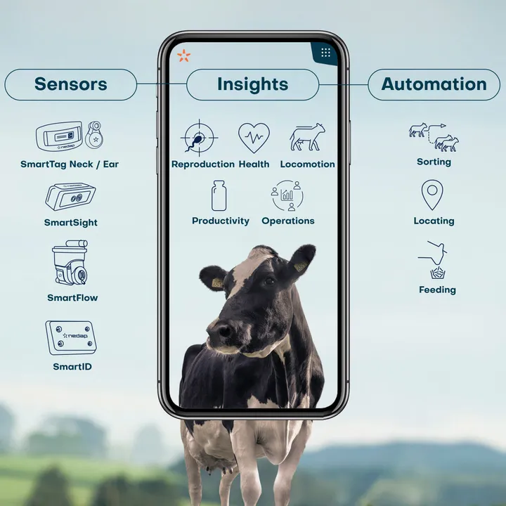 Nedap's Cow Monitoring Platform at a glance